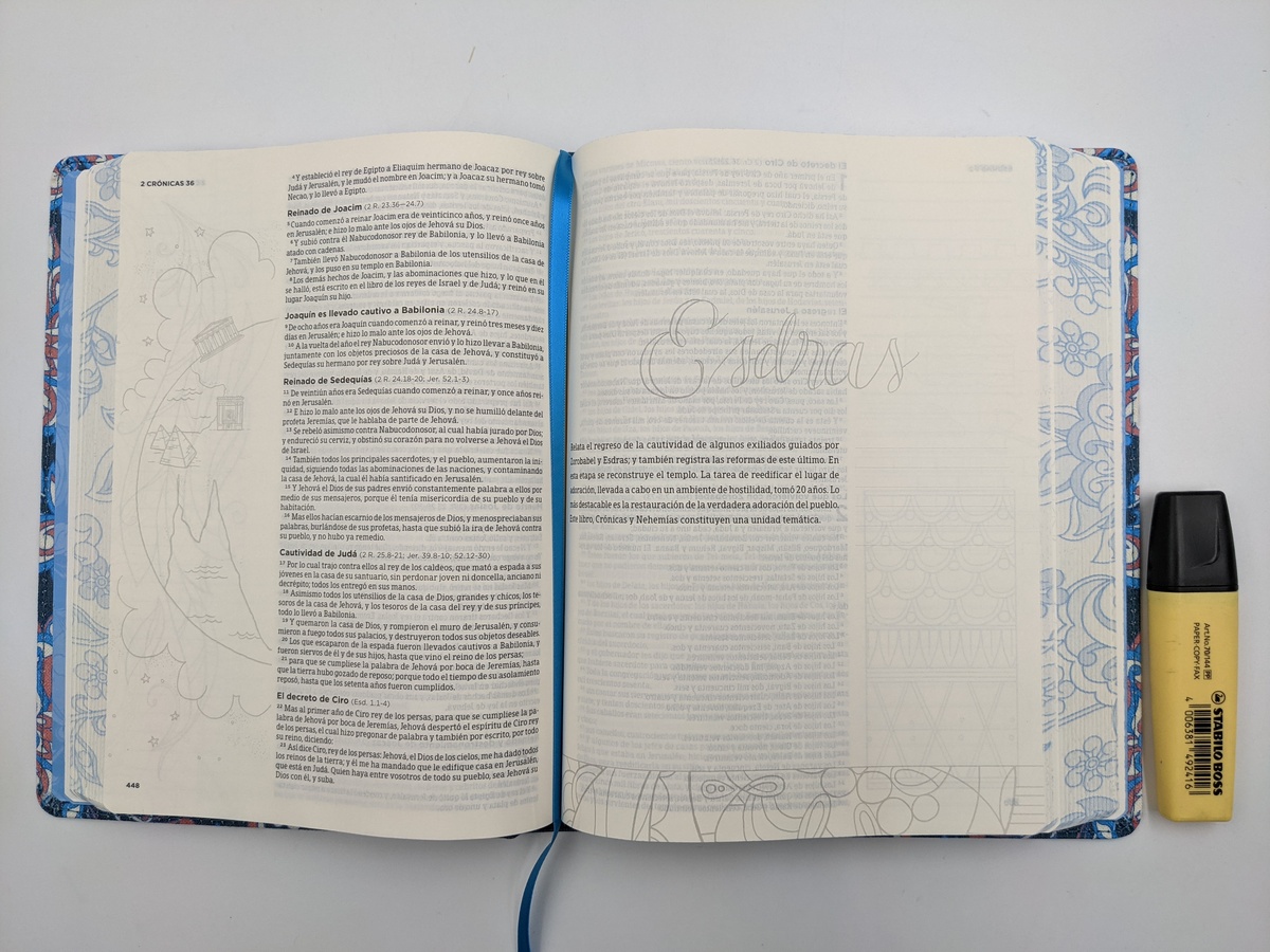 Biblia De Apuntes Rvr Ed Ilustrada Tela Rosada Y Azul Rvr