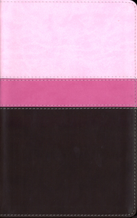 BIBLIA NVI HEROES DUOTONO (Lila/Crema)