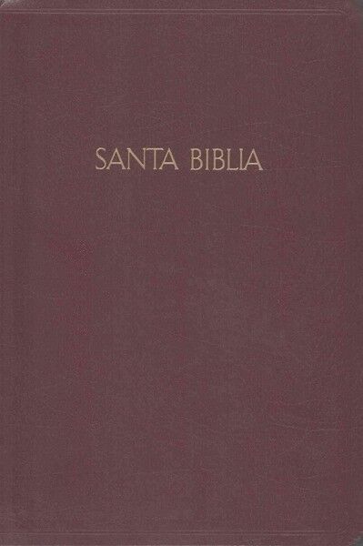 Biblia RVR60 Letra Gigante con Referencias vino imitación piel