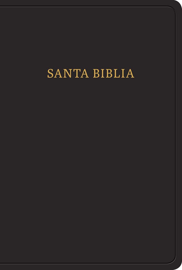 Biblia RVR60 Tamaño manual Letra Grande i/piel negro (nueva edición)