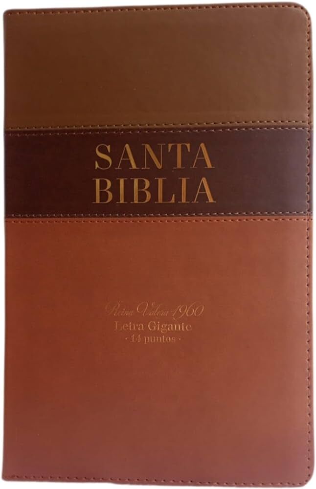 Biblia RVR60 Tamaño manual letra gigante i/piel Café/café/marrón con cierre
