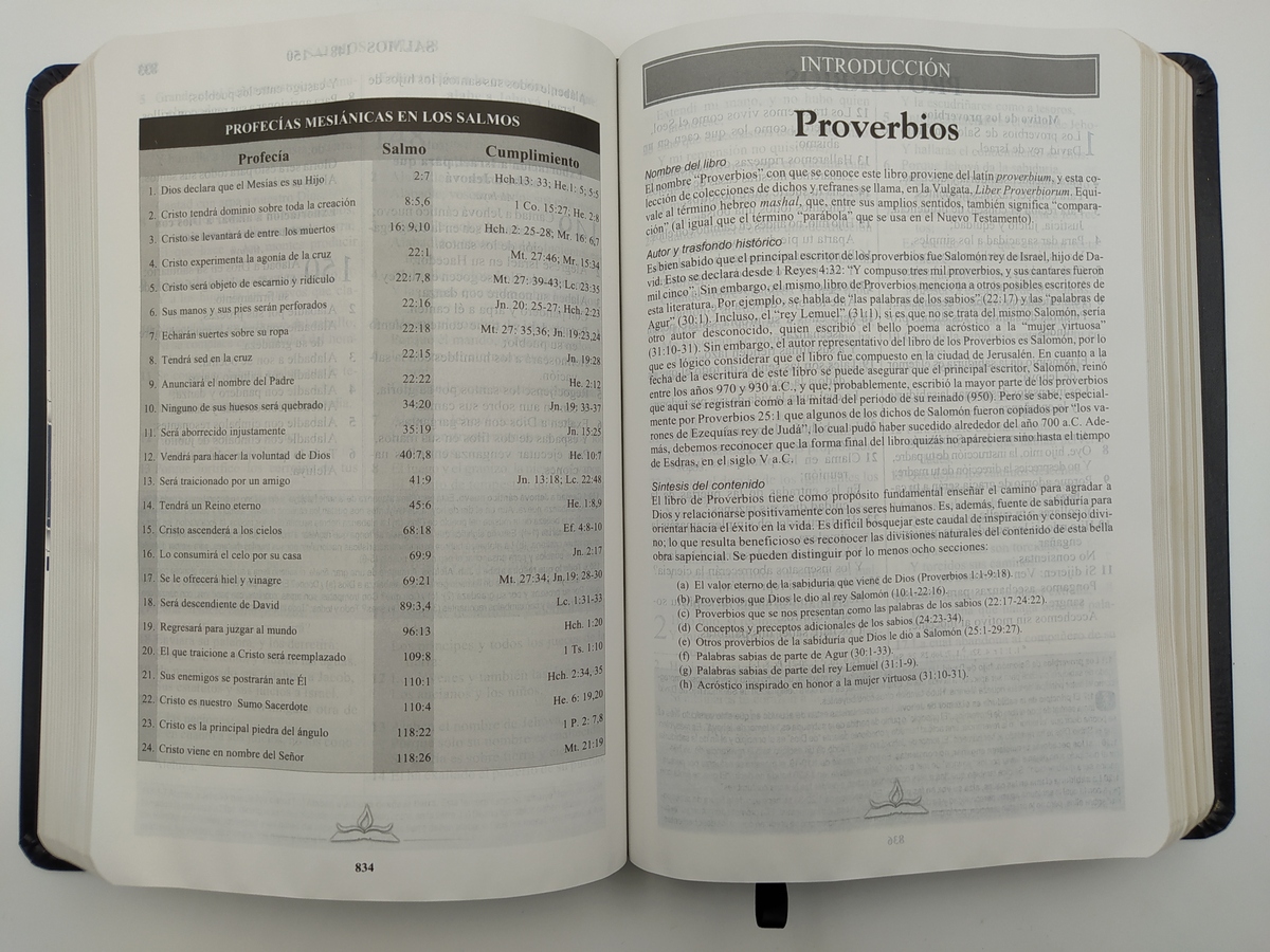 Biblia De Estudio Senda de Vida Ampliada De Piel Negro con indice RVR60