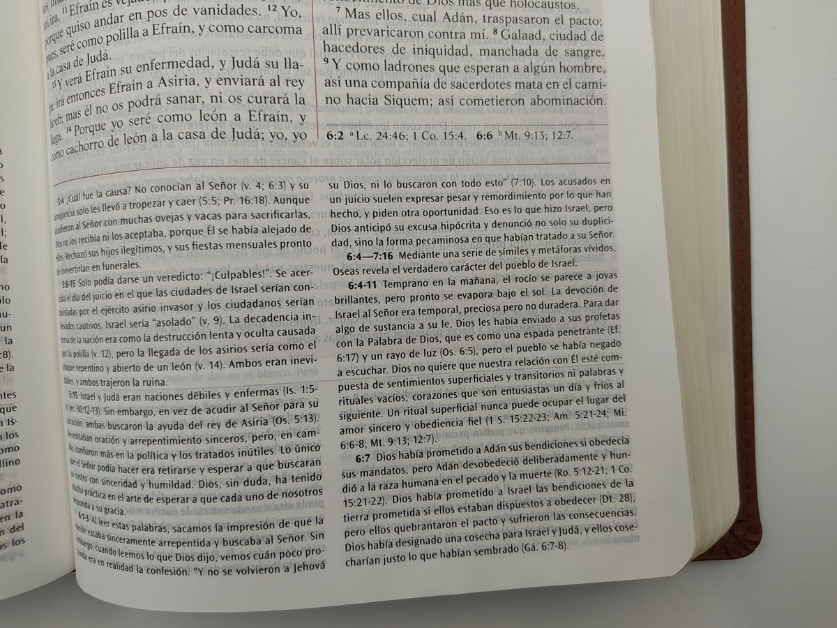 Biblia de estudio RVR60: Vidas transformadas - duotono - Warren Wiersbe