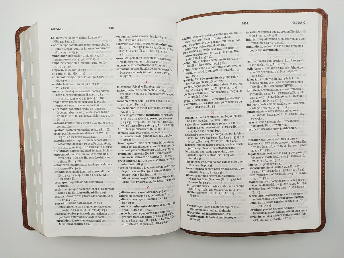 Rvr 1960 Biblia De Estudio Arco Iris Canela Damasco Piel Italiana Con Indice Rvr60 Comprar Libro Rvr60 Comprar Rvr 1960 Biblia De Estudio Arco Iris Canela Damasco Piel Italiana Con Indice Rvr60 Comprar Libro Rvr60 Comprar
