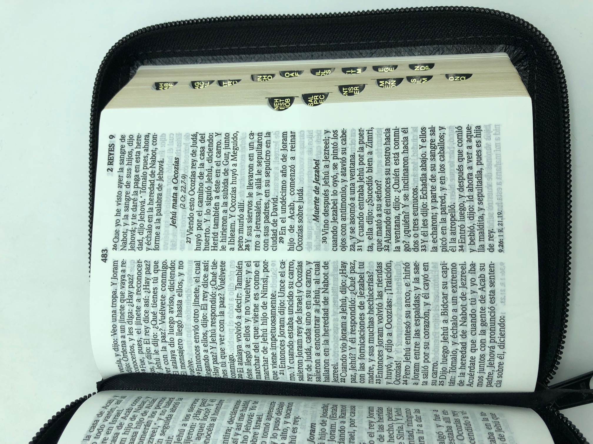 Biblia RVR60 tamaño bolisllo cierre/índice piel italiana negro - Abba ...