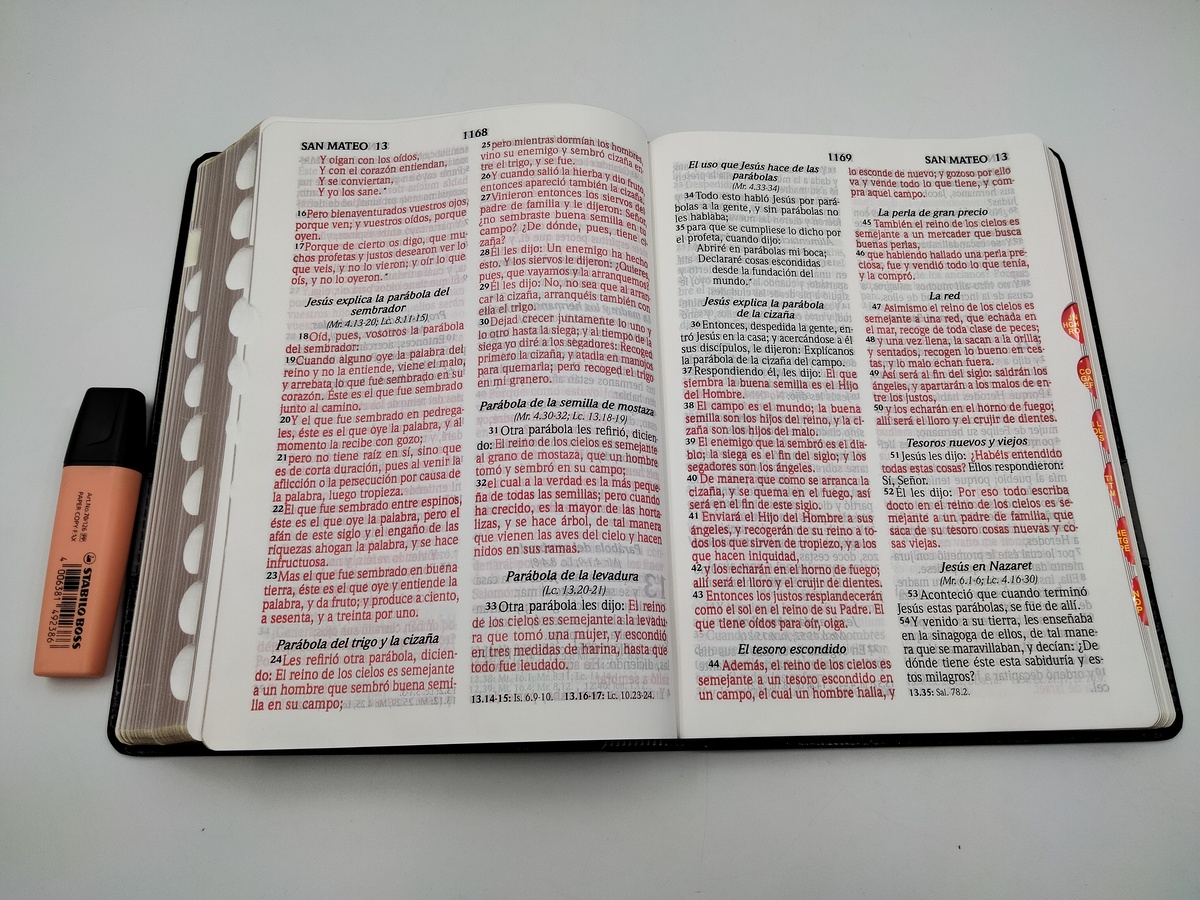 Biblia Reina Valera 1960 letra gigante con índice i/piel Negro/gris