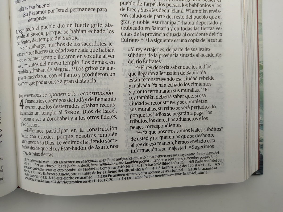 Biblia para niños NTV