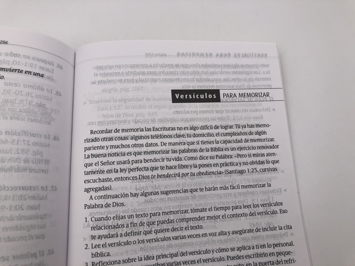 Biblia para nuevos creyentes NTV - Rústica - NTV - (9781414335933