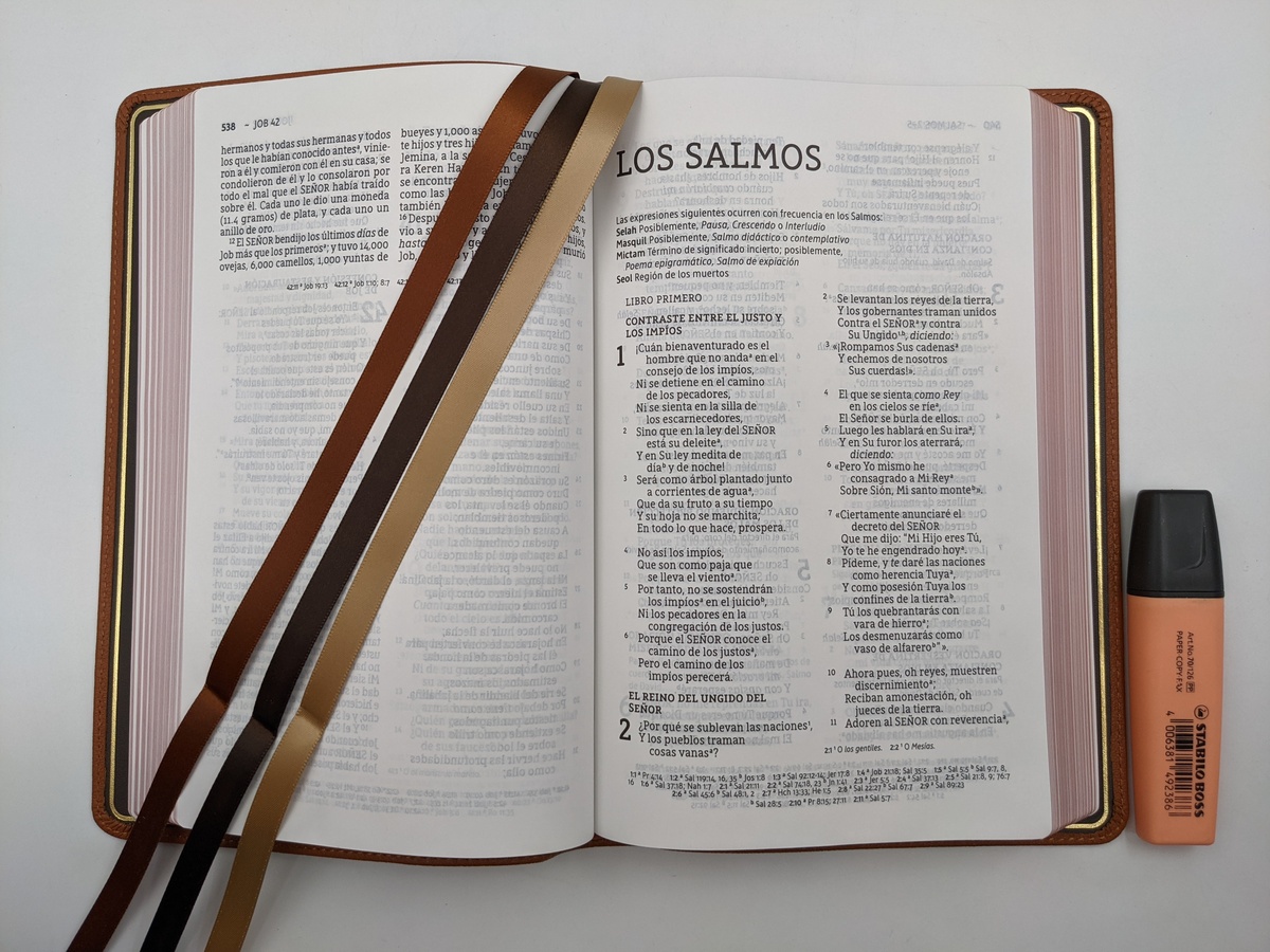 NBLA Biblia Ultrafina, Letra Grande, Colección Premier, Café: Edición  Limitada (Spanish Edition)