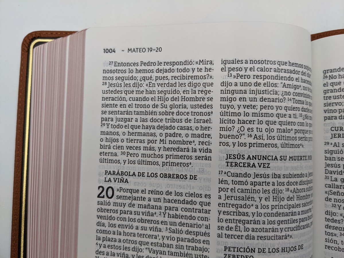 NBLA Biblia Ultrafina, Letra Grande, Colección Premier, Café: Edición  Limitada (Spanish Edition)