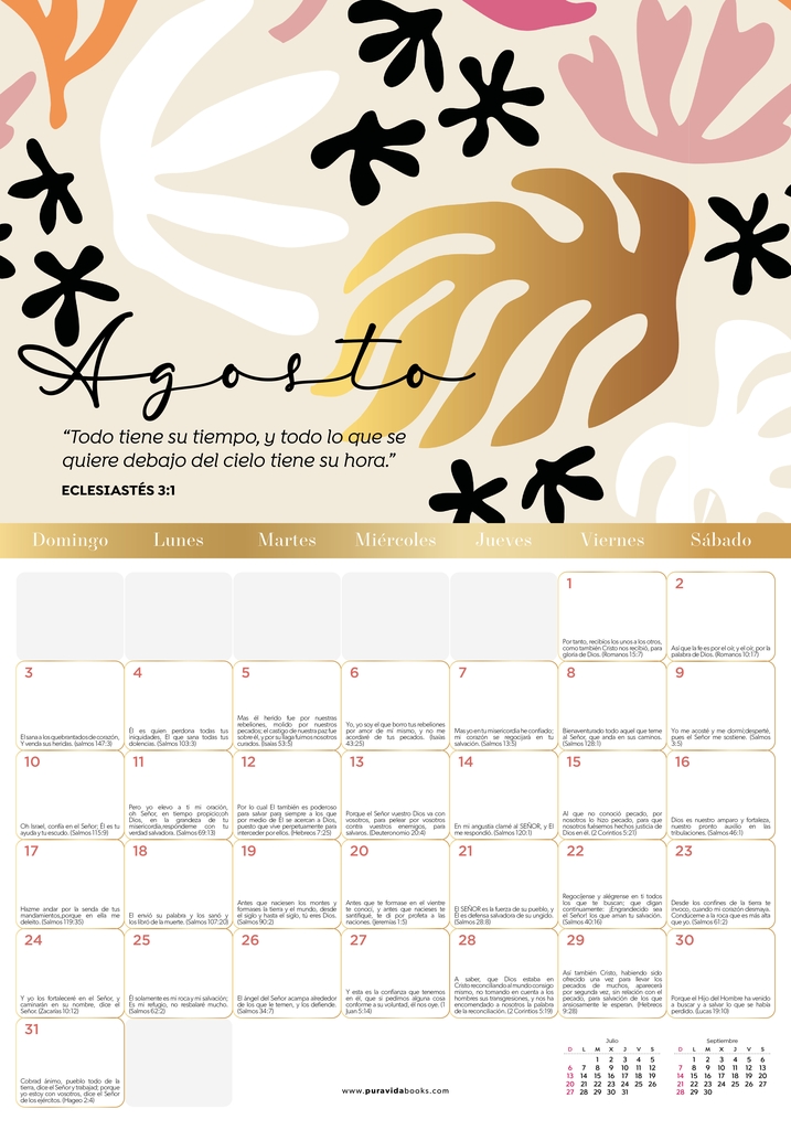Caja 80 calendarios 2025 Pura Vida Pura Vida Gifts 9780632922697
