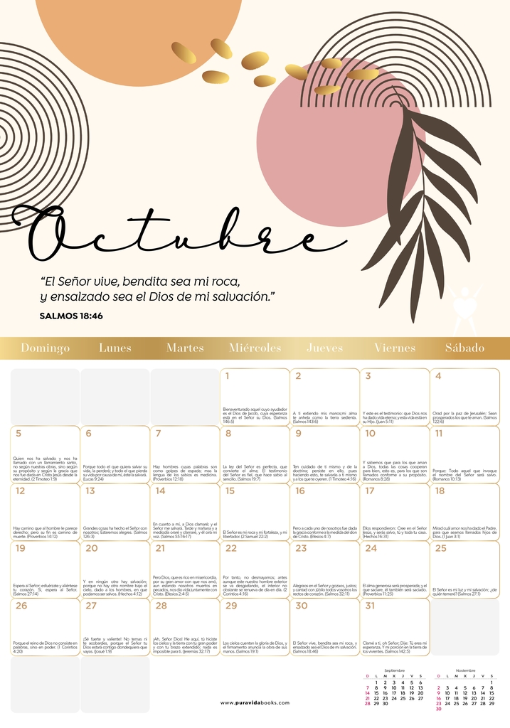 Caja 80 calendarios 2025 Pura Vida Pura Vida Gifts 9780632922697