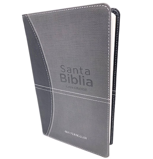 biblia nvi peninsular gris