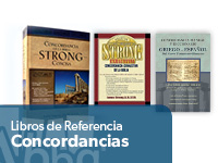 Concordancias