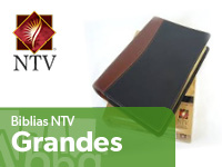 biblias ntv grandes