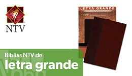 biblias ntv letra grande