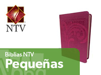 biblias ntv pequeñas