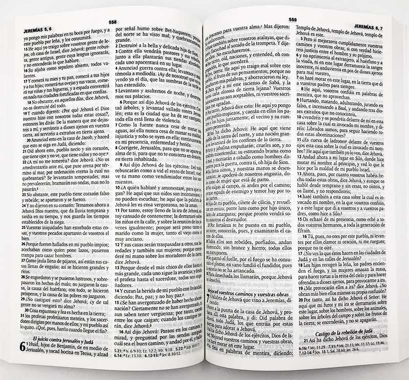 biblia rvr1960 eco