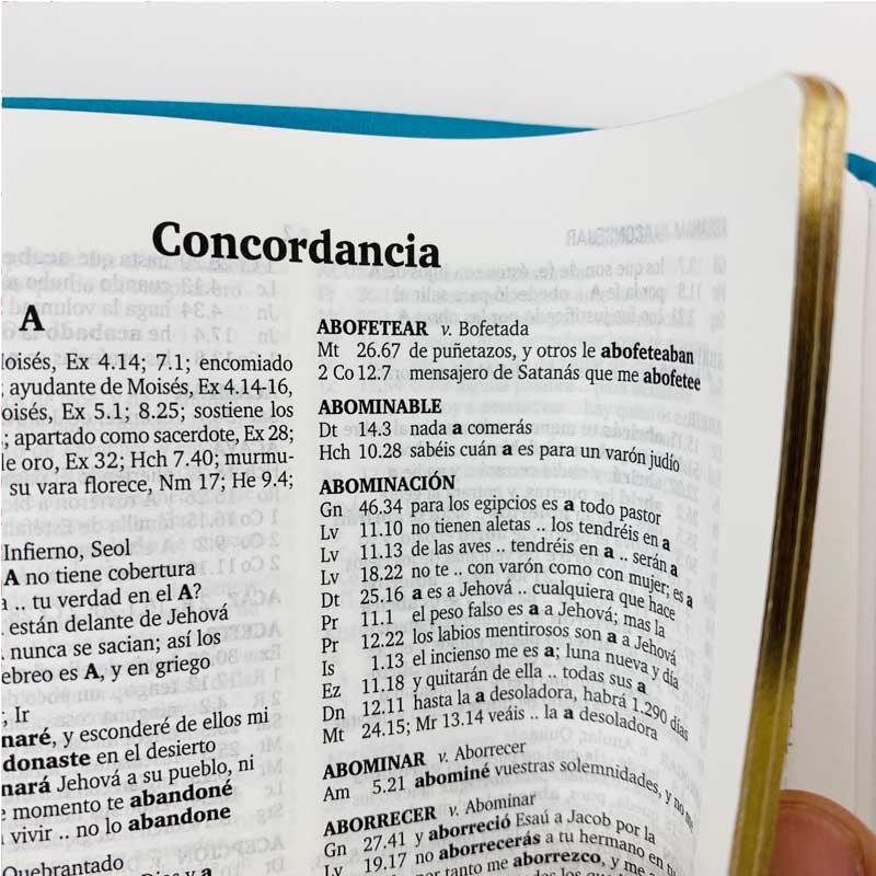 concordancia