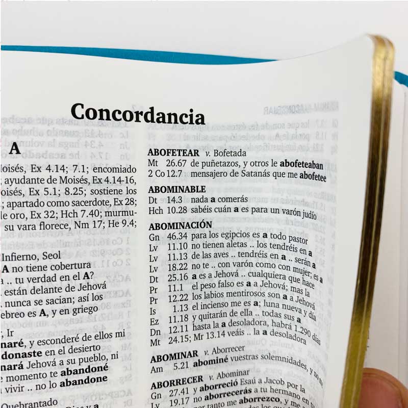 concordancia