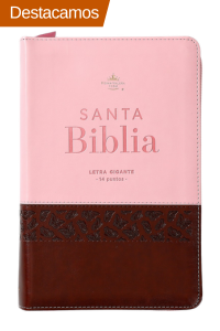biblia letra gigante rosa