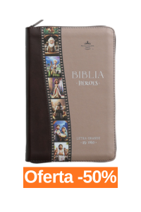 oferta biblia heroes marron