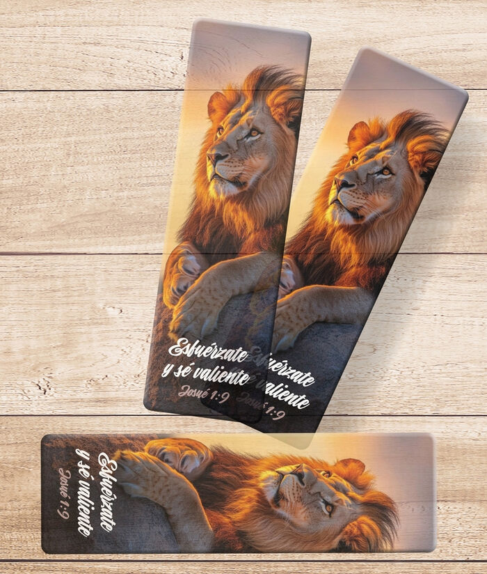 Pack 30 marcadors PVC translúcidos. Esfuérzate y sé valiente