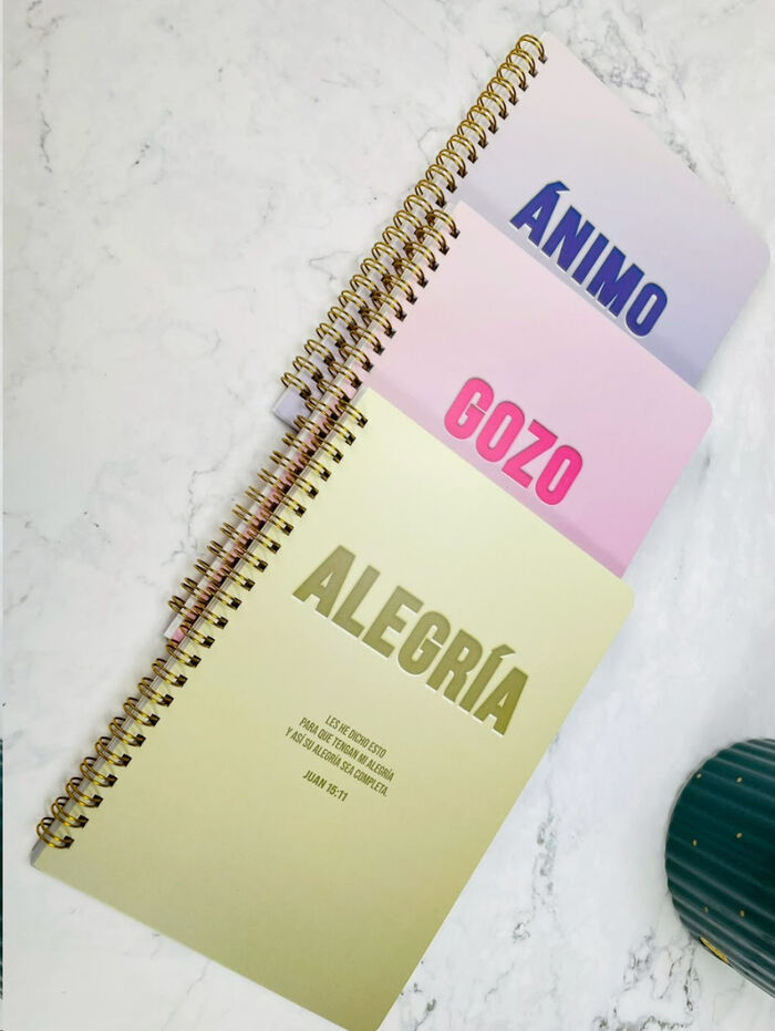PAck 3 libretas de ánimo
