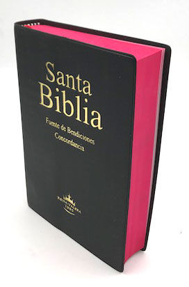 Biblia RVR60 Tamaño Portátil Tapa Vinilo Negro