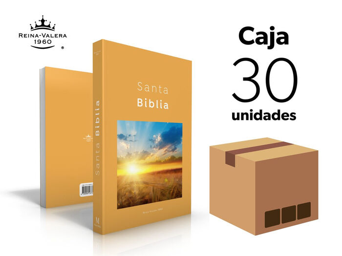 Caja de 30 Biblias misioneras RVR60 - Diseño naranja amanecer