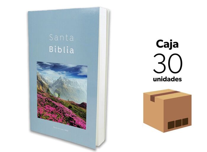 Caja 30 Biblias misioneras RVR60 - Diseño Azul pirenaico