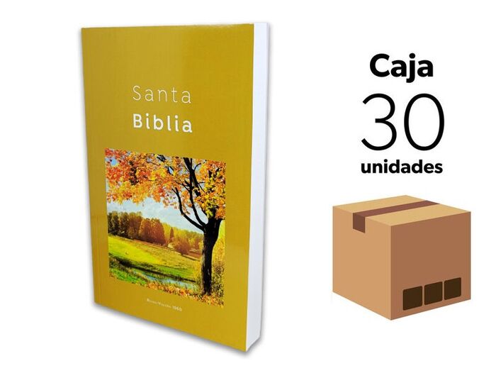 Caja 30 Biblias misioneras RVR60 - Diseño Naranja otoñal