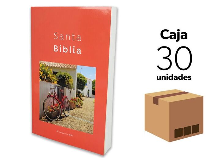 Caja 30 Biblias misioneras RVR60 - Diseño Coral