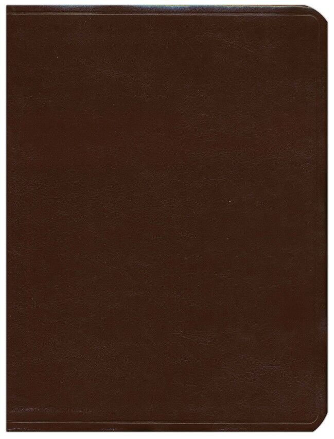 Biblia de Estudio Mundo Hispano Piel Europea