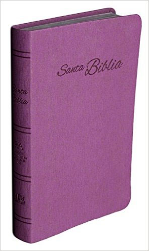 Biblia RVR 2015 Actualizada Piel Europea Morada