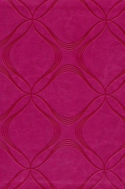 Biblia de promesas RVR60 Letra Gigante Rosa con indice