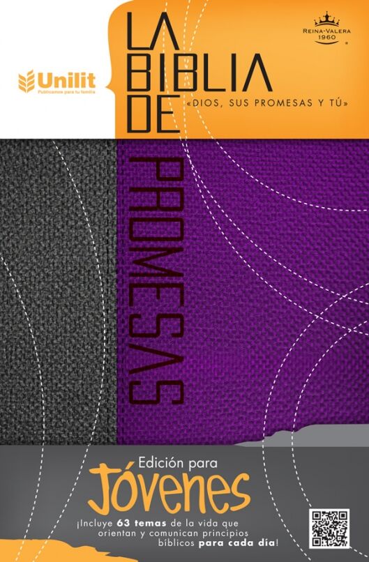 Biblia de promesas RVR60 Edición jóvenes Gris/púrpura