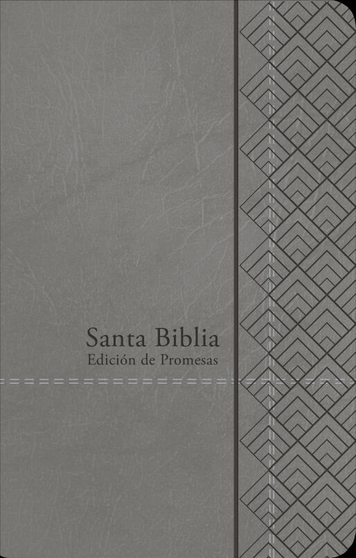 Biblia de Promesas RVR60 tamaño manual letra grande i/piel gris