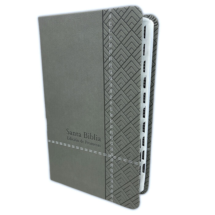 Biblia de Promesas Letra Grande RV1960 imit piel. manual gris con índice