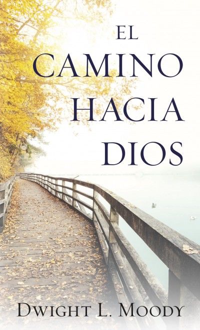 El camino hacia Dios (bolsillo)