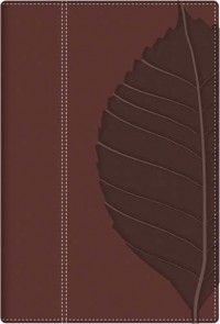 Biblia de estudio Vidas Transformadas RVR60 Duotono con índice 