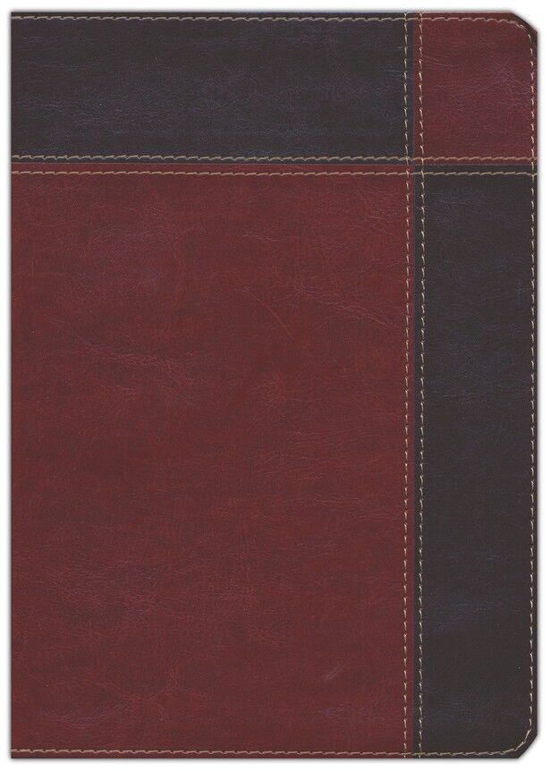 Biblia de estudio Ryrie Ampliada RVR60 Duotono Marrón con índice (Nueva Edición)
