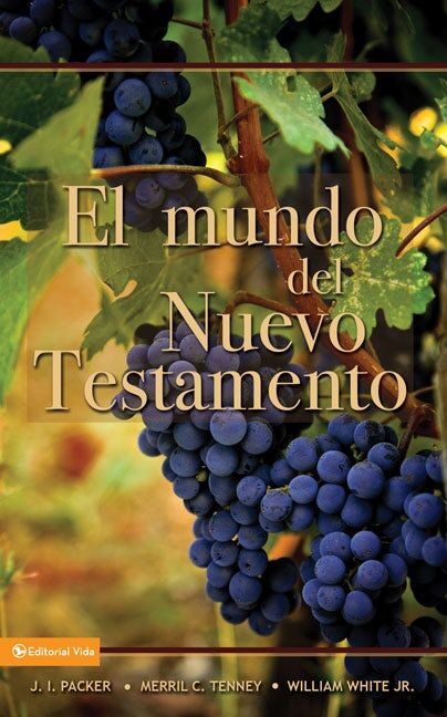 El mundo del Nuevo Testamento