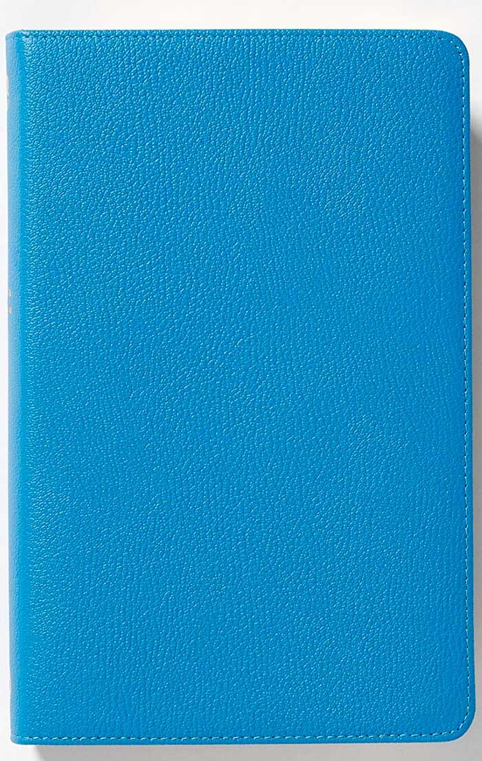 BIBLIA ULTRAFINA NBLA , LETRA GRANDE, COLECCIÓN PREMIER, PIEL GENUINA AZUL