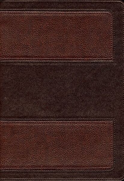 Biblia de estudio Vida Plena RVR60 dos tonos marron