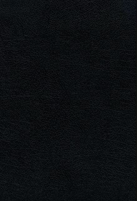 Biblia RVR60 letra grande ultrafina piel fabricada negro
