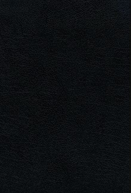 Biblia RVR60 letra grande ultrafina piel fabricada negro