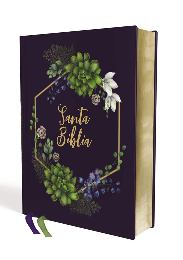 Biblia NVI 2022 Edición Artística Tela sobre Tapa Dura