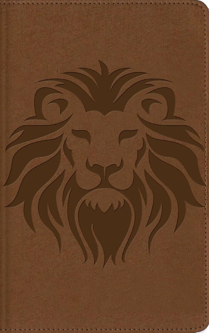 Biblia Visual de estudio para niños NBLA i/piel Café León