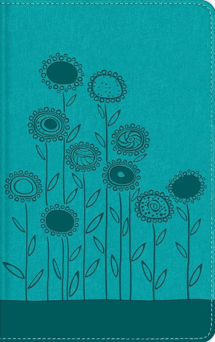 Biblia Visual de estudio para niños NBLA i/piel Turquesa